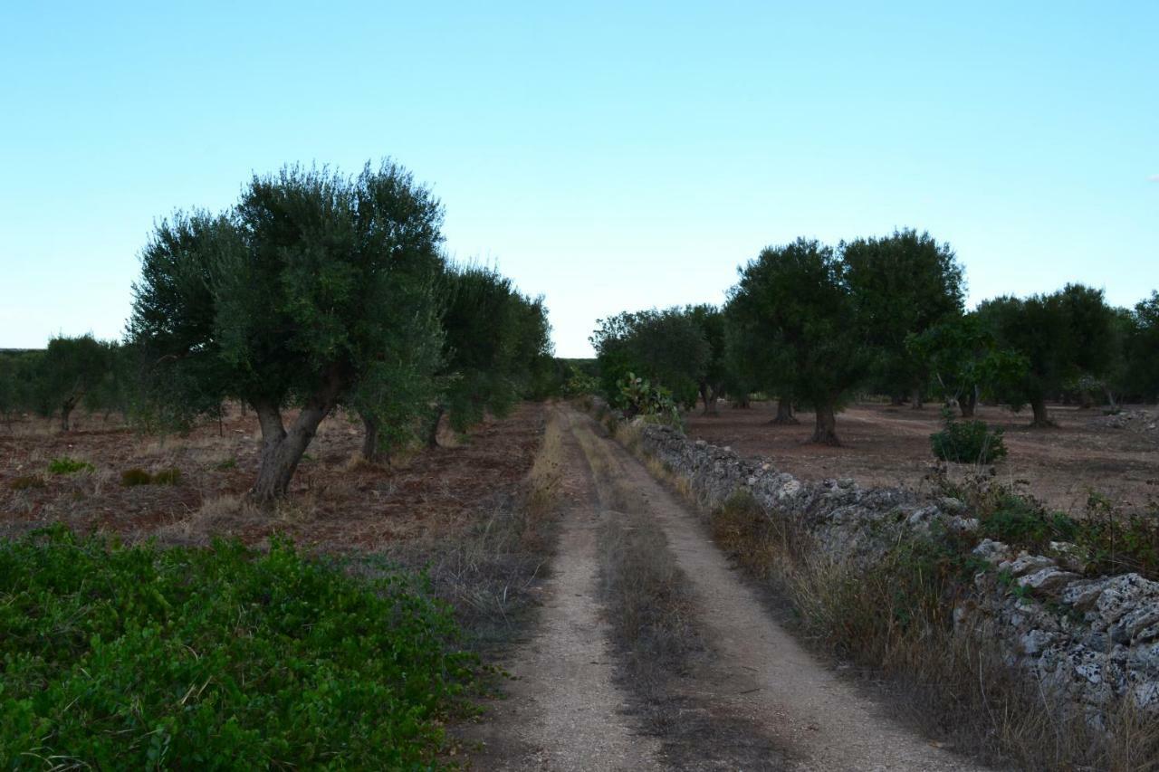 Le Terrazze B&B Manduria Luaran gambar